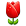 [Image: tulip4.png]
